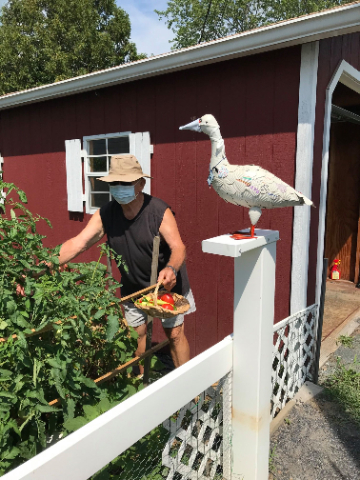 Gardening with Renners